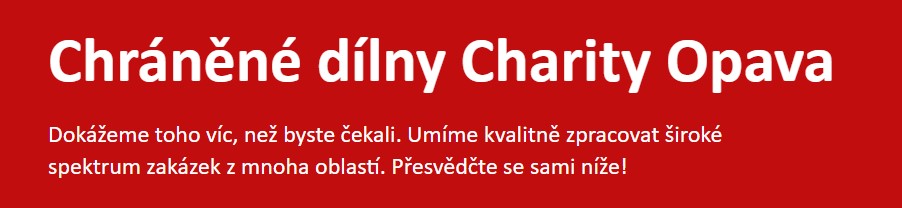 Snímek obrazovky 2025-06-04 102311